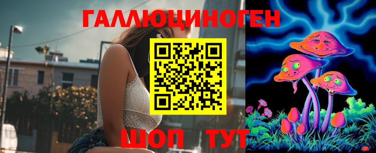 Ярцево  Галлюциногенные грибы Psilocybine cubensis  Вход с VPN 